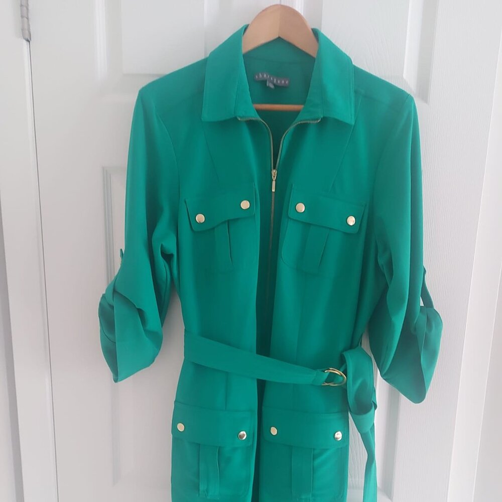 Sharagano 16W green shirt dress